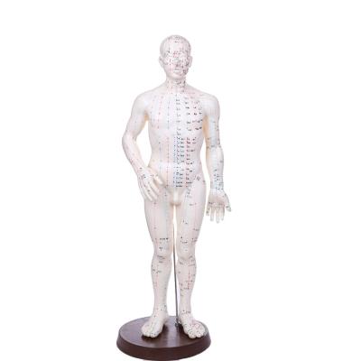 China Medical Female Hospital Clinic University Human Body Acupuncture Model (In Chinese) 48CM for sale