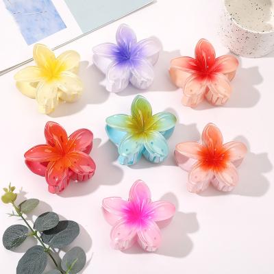 China Hair Decorations Spring Cute Daisy Hair Claws Plumeria Flower Frangipani Hair Claws Clip Plastic Summer Candy Color 8cm for sale