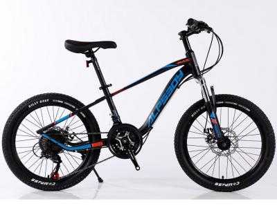 China Steel First Class Design Professional Grade Latest 12 Inch Magnesium Kids Bike for sale