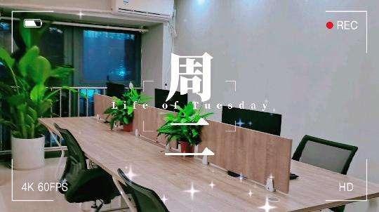 Verified China supplier - Dongguan Zhongyi Trading Co., Ltd.