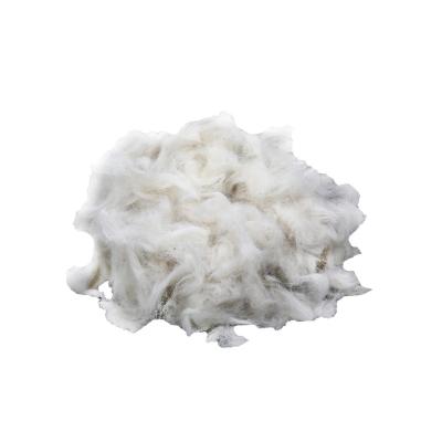 China Manufacturer supply best quality soft depilated goat hair waste goat fiber with factory price for sale