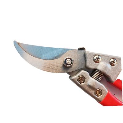 China Anti-skid Handle SC 16v Electric Scissors Garden Tool Garden Shears Tree Shears for sale