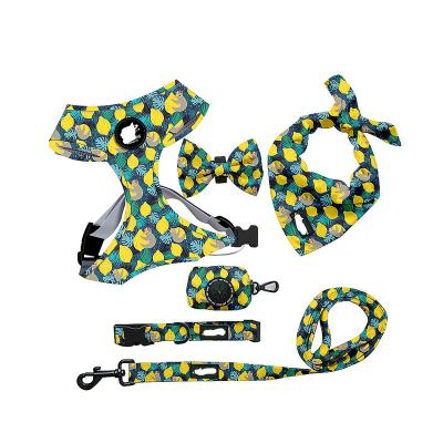 China OEM/ODM Quick Release Dog Accessories Leash Pet Collar Leash Set With Bowtie Bandana And Poop Waste Bag Holder for sale