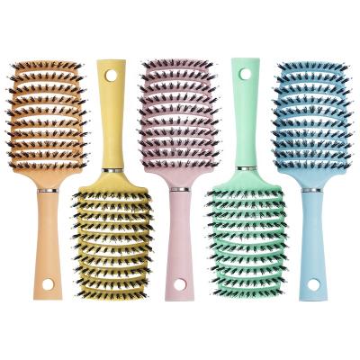 China Custom Logo Colorful Vent Hair Extension Paddle Brush Round Plastic Handle Vegan Boar Hair Brushes for sale