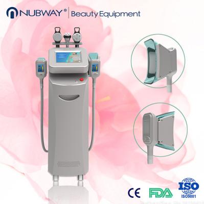 China Van het het Lichaamsvermageringsdieet van de Cryolipolysismachine 2014/Cryolipolysis de Schoonheidsmateriaal Te koop