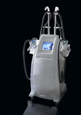 Chine Double graisse gelant amincissant l'équipement/corps frais de Cryolipolysis sculptant l'équipement à vendre