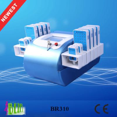 China portable dual wavelength 336 diodes lose weight slimming machine BR310 for sale