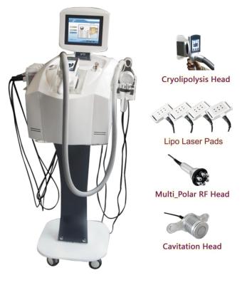 Κίνα Μηχανή Lipo λέιζερ/λέιζερ Lipo + μηχανή απώλειας βάρους Cryolipolysis + Cav + RF προς πώληση