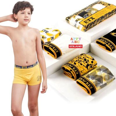 China Wholesale Briefs Kids Boxer Anti-pilling Model Underwear For Boy for sale