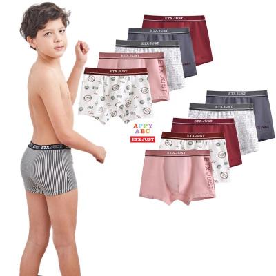 China New Breathable Cute Cotton Boy Teen Underwear Kids Boxer Briefs for sale