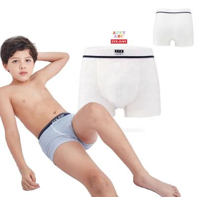 China Handsome Boy Seamless Wholesale Hot Underwear Kids Boxer Briefs for sale