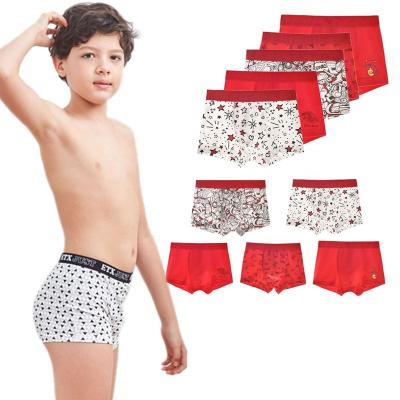 China Fashion Antibacterial Seamless Underwear Boy Youth Boys Briefs Teen Tumblr for sale