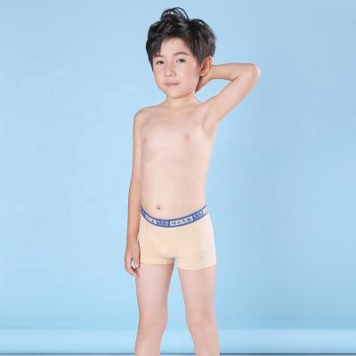 China Wholesale price QUICK DRY soft boxers abbreviation teen boys for sale