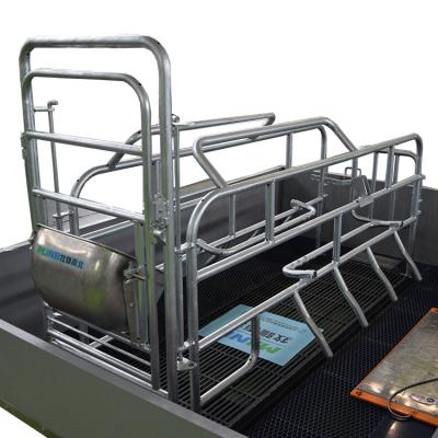 China Weaning All Pig Farm Equipment Nursery Crates Machinery Livestock Farrowing Equipment for sale