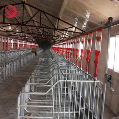 China Gestation pig farm construction, pig feeding and drinking feeding system for sale