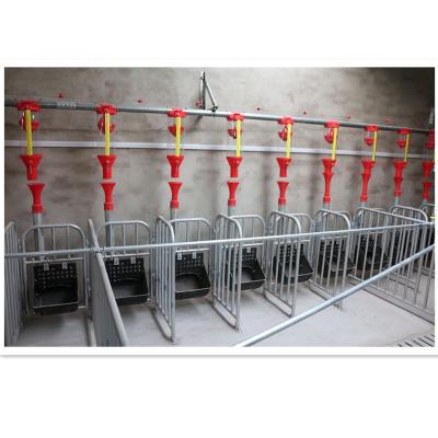 China Farms Customized Pig Breeding Equipment Pigsty Sow Gestation Cage for sale