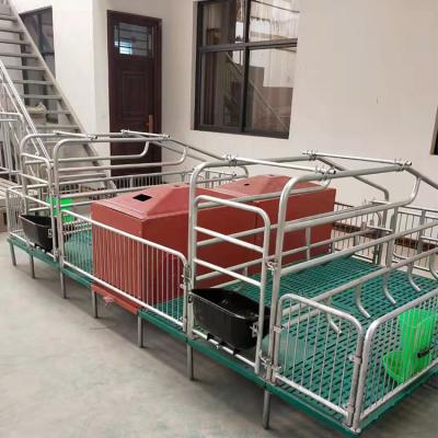 China For sow China factory supplier price farrowing cage farrowing pens for pig farm farrowing crates for sale for sale