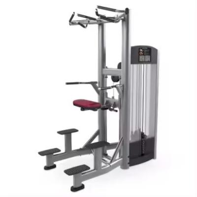 China Pull-up bar en dip machine voor triceps Deltoïden training met behulp van fitness sport functio Te koop