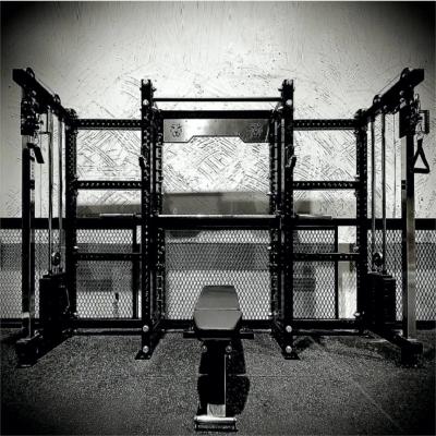 China Steel Q235 Gym Machine Leg Back Exercise with Universal Smith Machine and Power Rack for sale