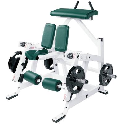 China Fitness Exercise Body Iso Lateral Kneeling Legs Curl for Quadriceps and Leg Extension for sale