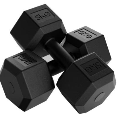 China Gepersonaliseerd logo Hex rubber coated dumbbells voor thuis gym fitness apparatuur 2.5kg-50kg Te koop