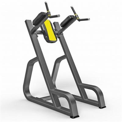 China Commercial Gym Strength Training Vertical Knees Up/Dip Machine Made of Durable Steel for sale