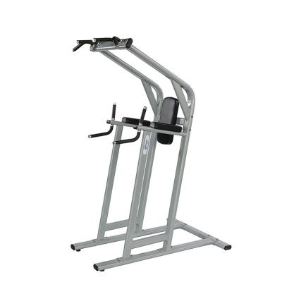 China Gym Center Frame Color Optional Selectable Chin Dip Leg Raise Exercise Fitness Machine for sale