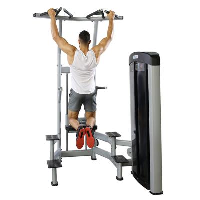 China Steel Pin Loaded Pull Up Bar Triceps Deltoids Workout Assisted Chin Dip Machine for Steel for sale