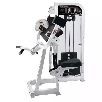 China Steel Strength Machine Biceps Curl Sitz Biceps Curl Machine von Befreeman für das Fitnessstudio zu verkaufen