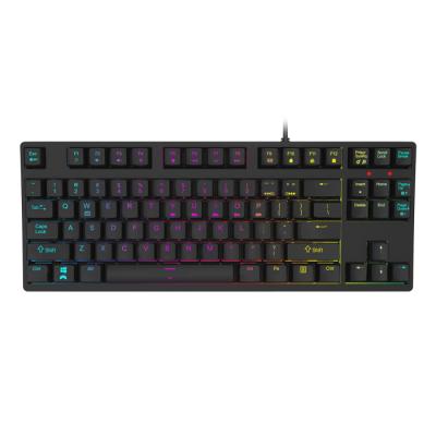 China Ergonomic Anti-ghosting 87 Keys OEM Language Layout RGB Wired Mechanical Gaming Keyboard With Multimedia Keys for sale