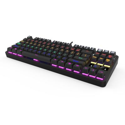 China Anti-ghosting TKL Metal RGB Mechanical Gaming Keyboard, 16.8 Million Colors RGB LED Back Lit Keys, Detachable Palm Rest Customized Order for sale