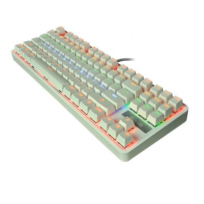 China Ergonomic Anti-Ghosting TKL Macro Led Backlit Lightweight Customizable Gaming Gamer RAINBOW Computer PC Metal Mechanical Keyboard for sale