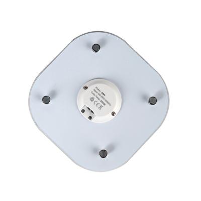 China PC Newcomer Led Lights Ceiling Plate Module Replacement 12W For Ceiling Lamp for sale