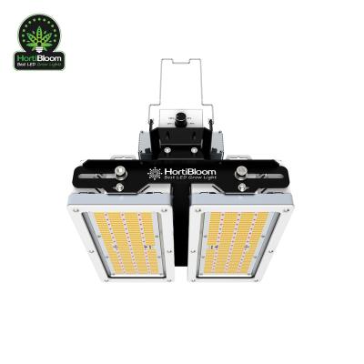 China Dimming Control Hortibloom Solux 650w ct 1930e Full Spectrum Medicinal Plant Fixture Led For Growing Light Indoor Plant for sale