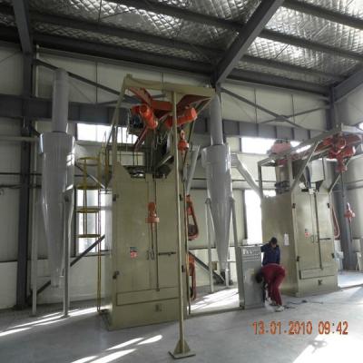 China Building Material Shops Hook Shot Blasting Machine for sale