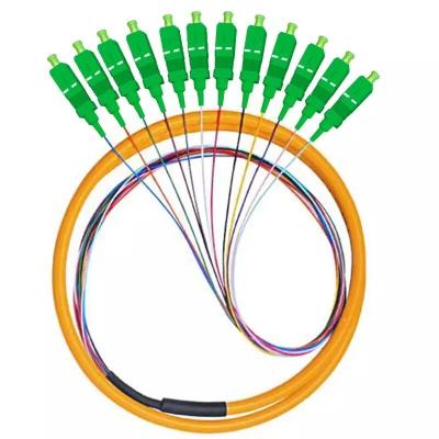 Китай WHB&R 12 Core Pigtail Fiber Optic Patch Cord 3mm 1 Meters SC-UPC With Factory Prices продается