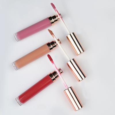 China Brand New 2022 OEM Private Label Lip Gloss Cosmetic Lip Gloss Kit Waterproof Clear Lip Gloss Volumes for sale