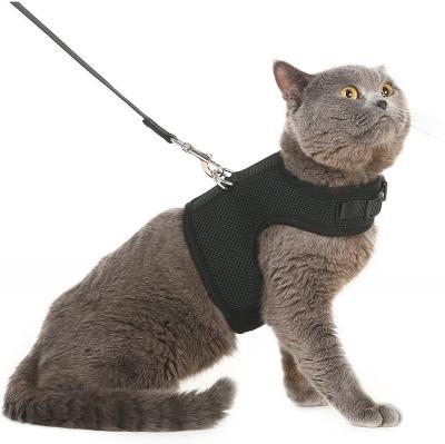 China Outdoor Strong Rope Small Stocked Cat Harnesses High Quality Pet Leash With Comfortable Padded Handle Factory Wholesale for sale