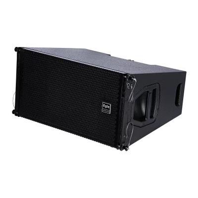 China Large 10 Inch PORTABLE Dual Array Sound Woofer Passive Two Way Line DJ Speaker Set Outdoor for sale