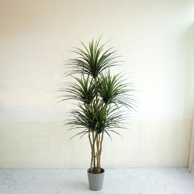 China Factory wholesale artificial bonsai dracaena PE vertical dracaena plant pot used for indoor decoration artificial green bonsai for sale