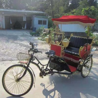 China Electric Passenger Tricycle for Passenger Sightseeing Tuktuk for sale