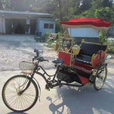 China Passenger Three Wheel Electric Bicycle For Sightseeing for sale