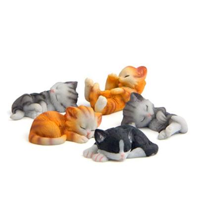 China 5 Packs Strong Magnetic Perfect Fridge Magnets Office Artificial Magnets for Whiteboard Fridge Sleeping Cats for sale