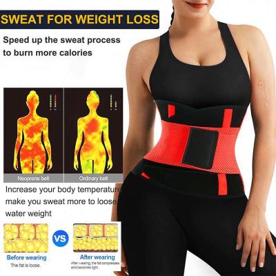 China 2021 Antibacterial New Training Stomach Wrap Neoprene Trainer Sweat Gym Workout Slim Detachable Waist Trimmer Slim Detachable Belt for sale