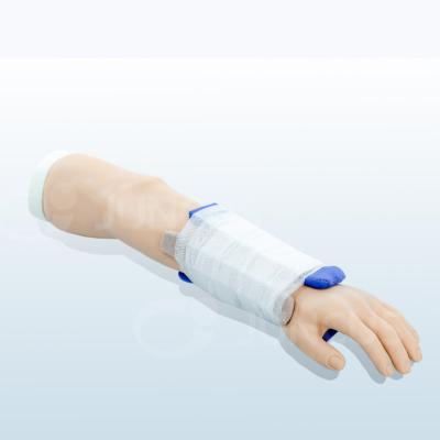 China hospital & Universities & School for Physical Examination Training Krebs Fracture Training Model for sale