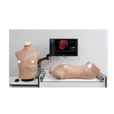 China hospital & Universities & School for physical examination training Jucheng online edition simulation intelligent training system of chest and abdomen physical examination for sale