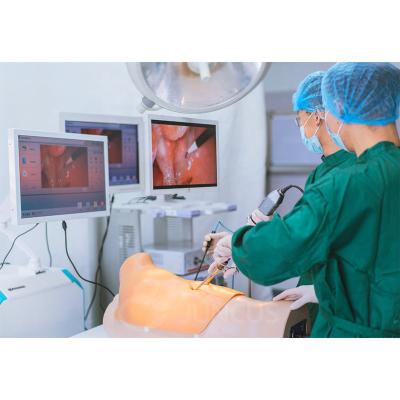 China hospital & Universities & School for Physical Examination Training Model Thoracoscopic Surgery Simulation Training System for sale