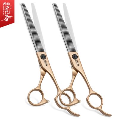 China Viable 6.8 Inch Beauty Hair Cutting Tool Set Pet Scissors Tooth Scissors Champagne Handle Hair Trimming Scissors Dog for sale