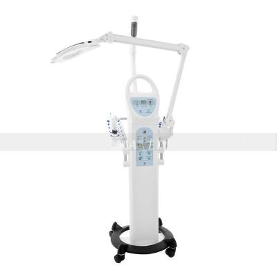 China Stationary 9 in 1 Deep Skin Cleansing and Promoting to Nourish Absorption Beauty Facial Machine for sale