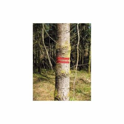 China Tree Marker, Tree Marking Paint, Fluorescent Orange for sale